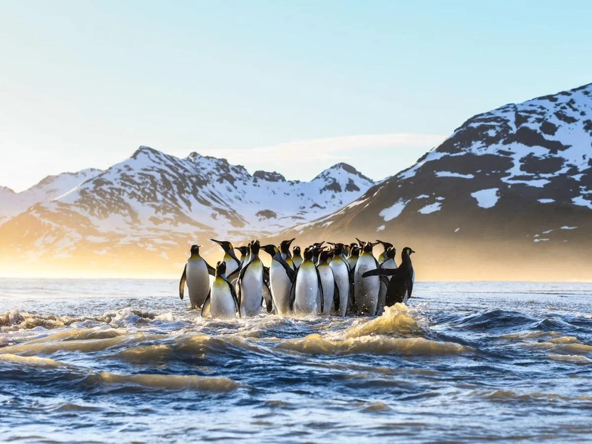 Representing Global Warming